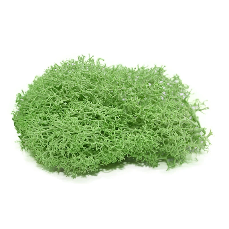 Artificial Moss 40g Green DIY Craft Mini Fake Lichen Grass Plant Landscape Decor