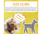 -xl-Pet clothes Pet two legged sweater Pet cute cartoon dog pattern clothes