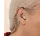 Hearing Aids for The Elderly Rechargeable Hearing Aids with Noise Cancelling - Black
