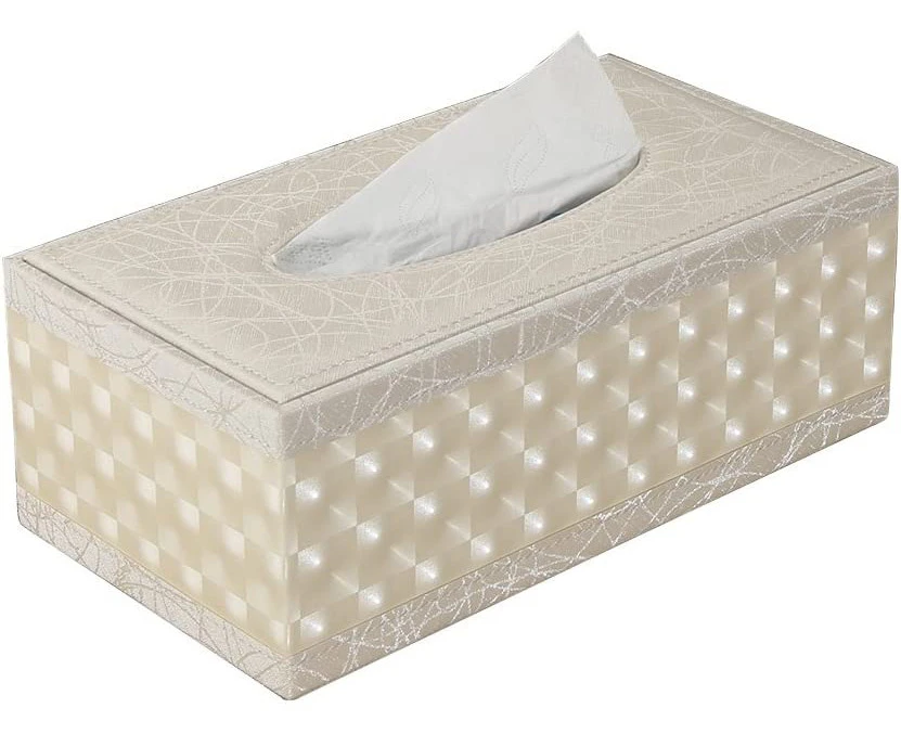 Modern Beige Leather Tissue Box