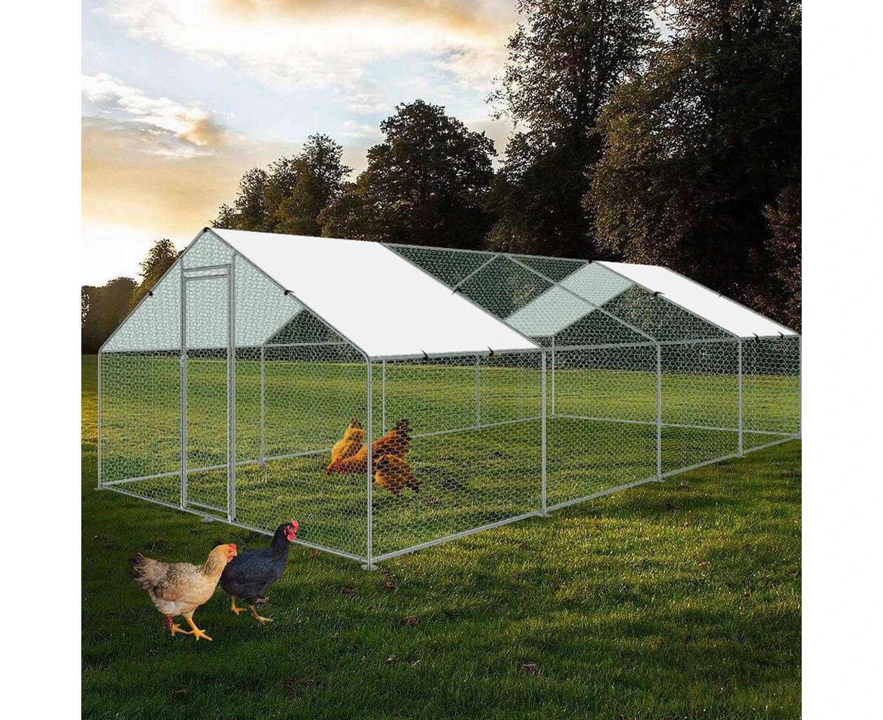 riin Large Walk-in Chicken Coop Outdoor Run Metal Shed Cage Pen Hen House Rabbit Hutch Ferret Chook Guinea Pig with Roof Cover 3x8x2m