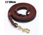 Leather Dog Training Leash with Strong Hook, Heavy Duty Handmade Dog Leash for Large, Medium and Small Dogs 1.2 wide,Brown,copper