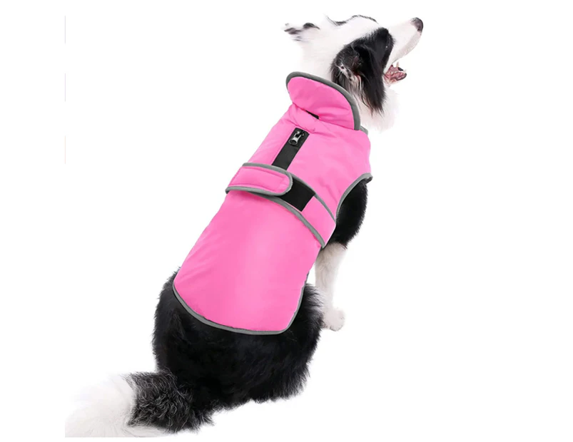 -s-Pet vest, pet clothing, dog cotton coat, lapel, pet dog clothing, autumn and winter dog clothing