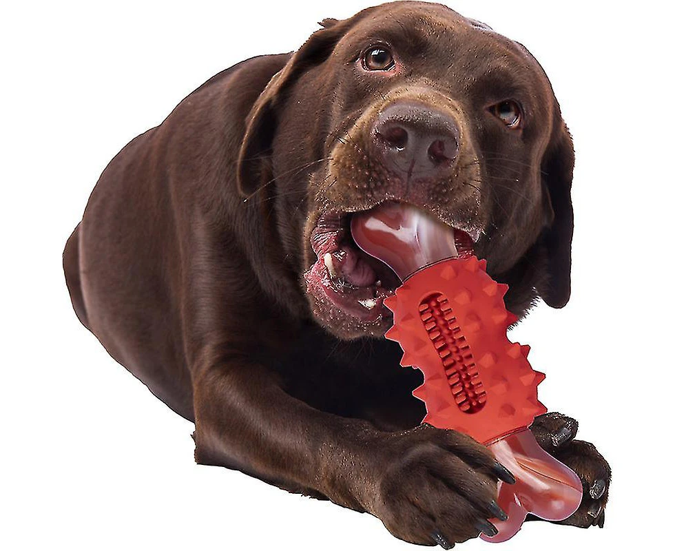 Dog Chewing Bones Toys Puppy Teeth Cleaning Tool Strong Tough Chew Bone Toys