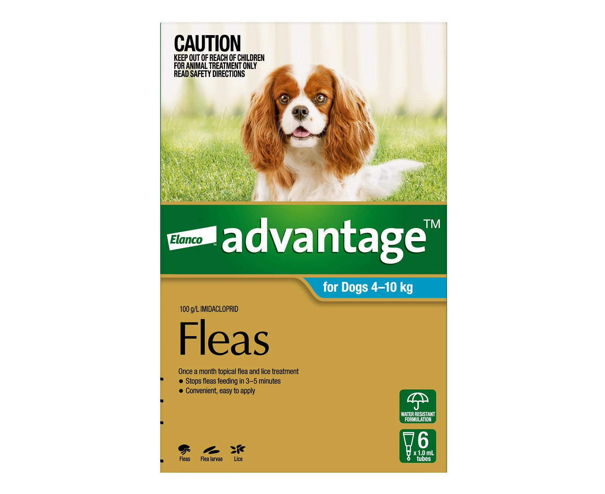 Advantage For Medium Dogs 4 To 10Kg (Aqua) 12 Pack