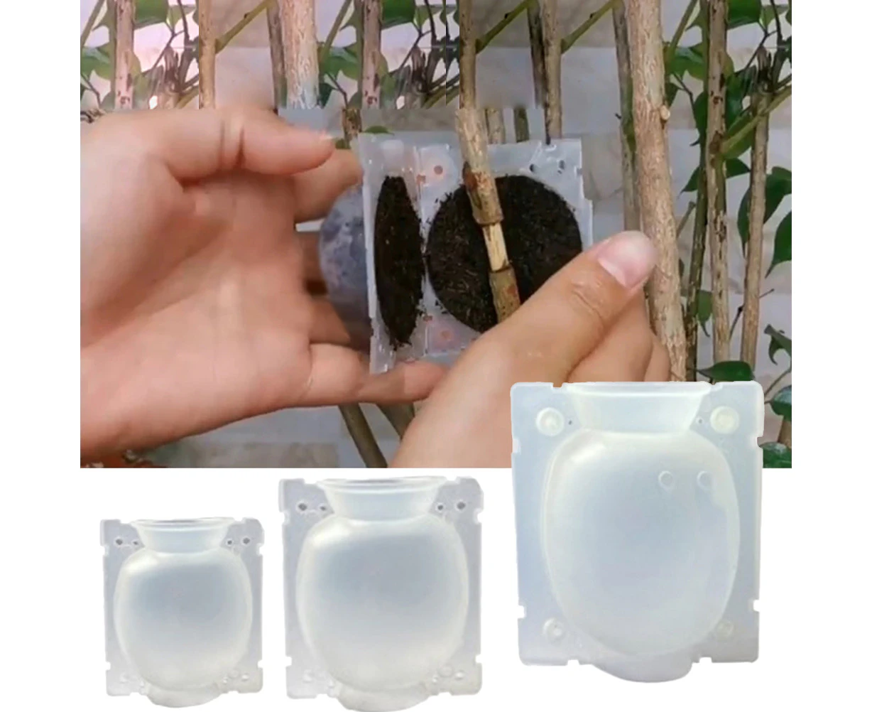 3Pcs Plant Root Growing Box Grafting Device High Pressure Propagation Ball Plant Rooting Box