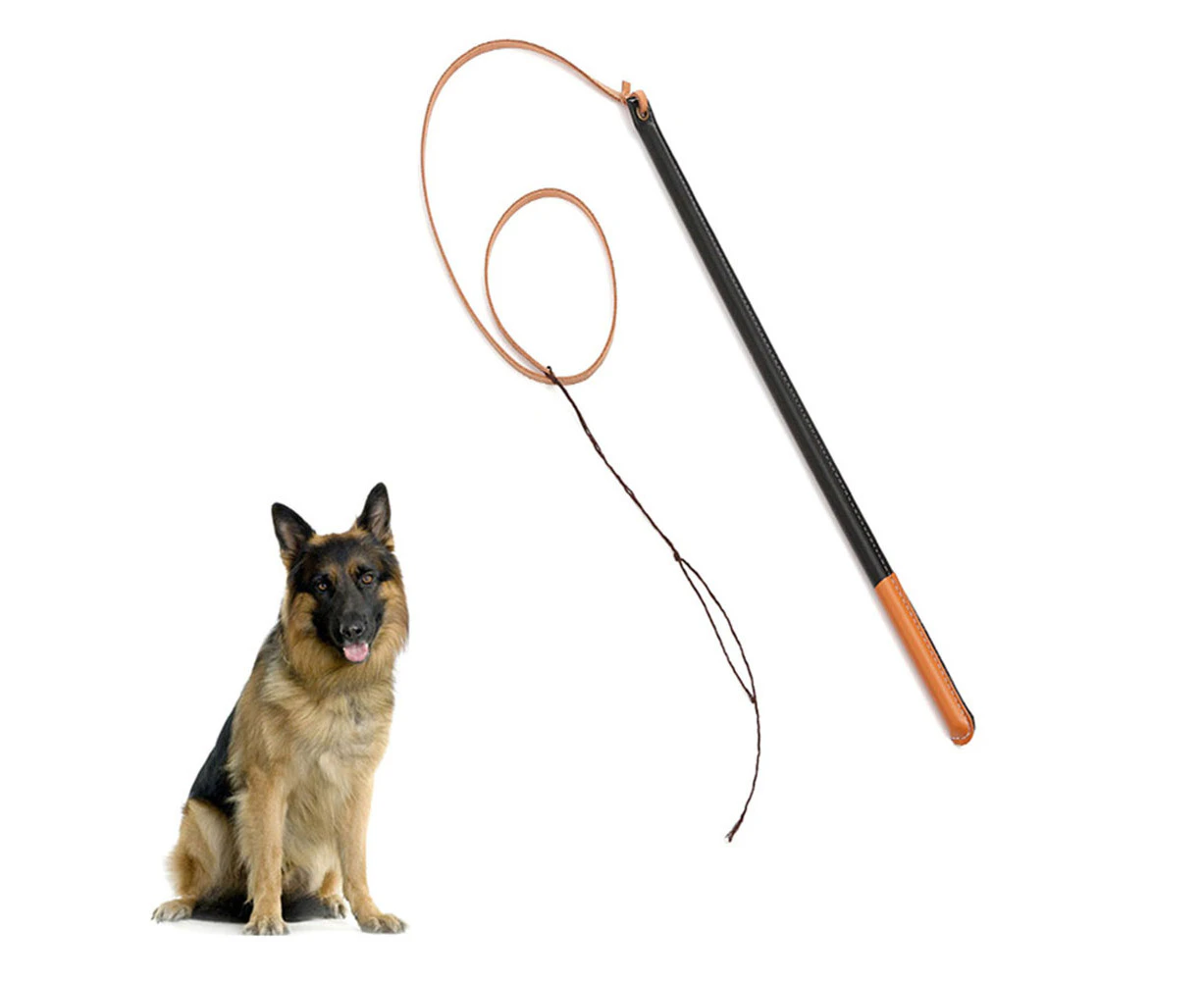 Imitation Leather Dog Training Whip Professional Dog Training Tool with Handle Pet Supplies