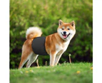 Washable Dog Diaper Water-resistant Puppy Nappy Belly Wrap for Male Dogs - Black