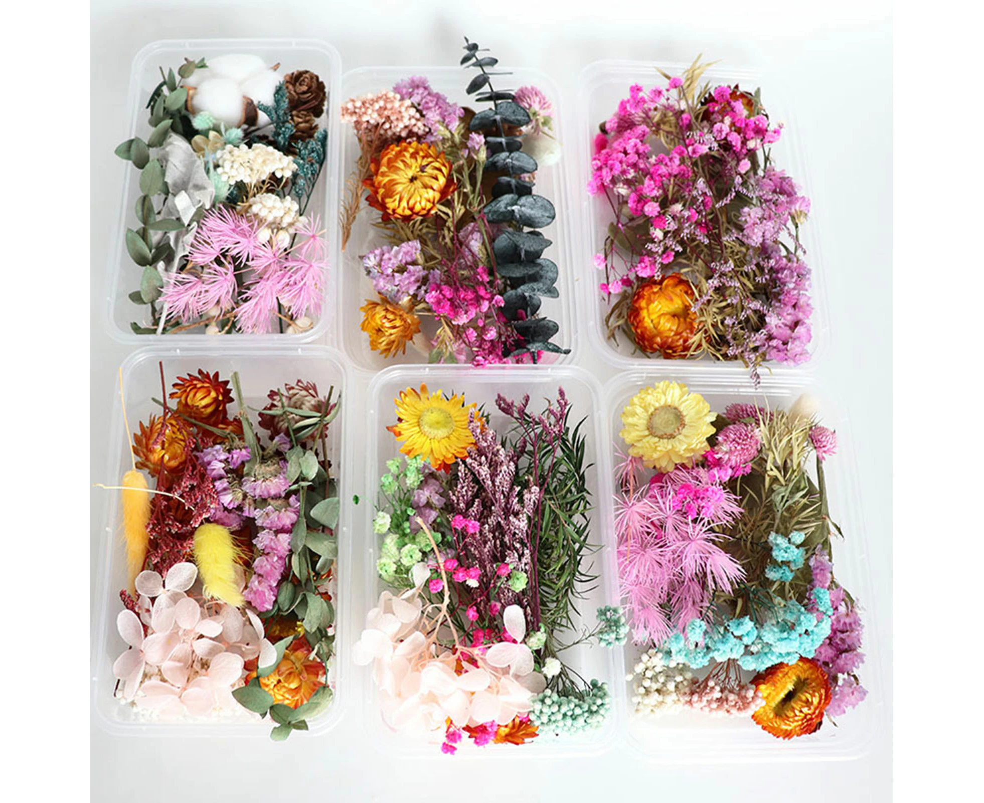 Centaurus Dried Flowers Home Photography Props DIY Ornament Craft Specimen Accessories-Random Color&Pattern