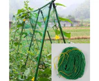 Undergrid Garden Grid Of Climbing Plants With A Large Mesh Suitable For