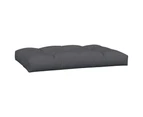 vidaXL Pallet Cushions 2 pcs Anthracite Fabric