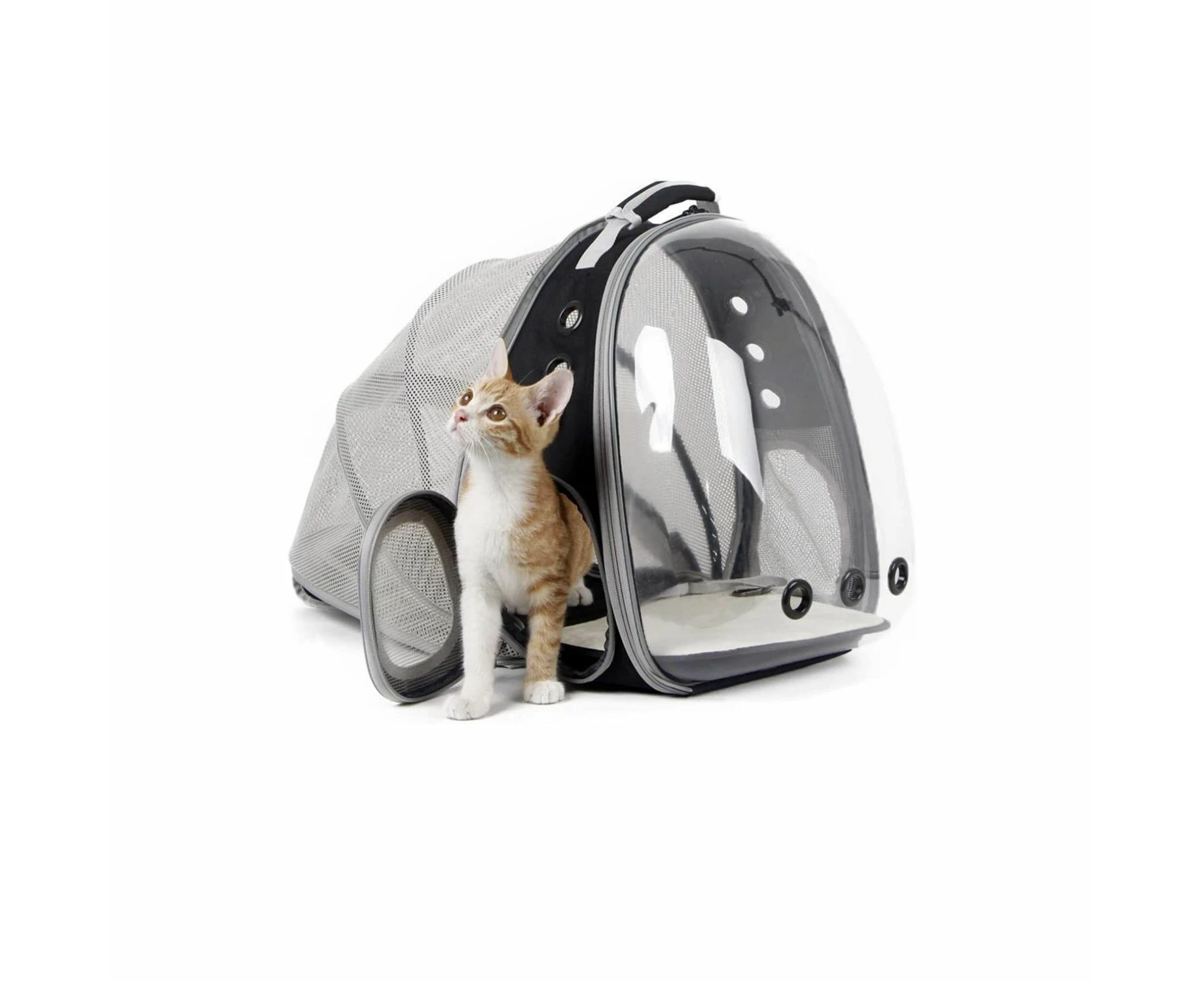 Expandable Space Capsule Backpack for Small Cats and Dogs Black