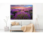 Sunset over lavender field View  Print 100% Australian Made (Streched Canvas)