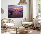 Sunset over lavender field View  Print 100% Australian Made (Streched Canvas)