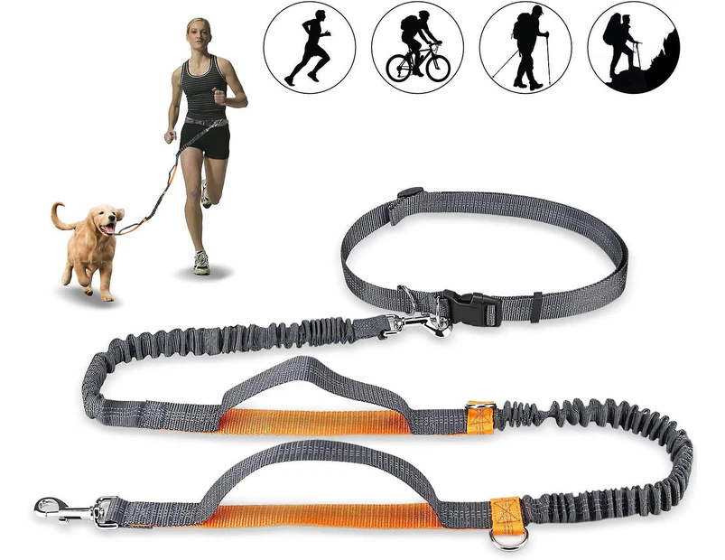 Hands Free Dog Leash, Adjustable Elastic Jogging Leash With Reflective Stitching For Dogs Up To 110 Kg