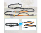 Hands Free Dog Leash, Adjustable Elastic Jogging Leash With Reflective Stitching For Dogs Up To 110 Kg