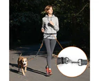 Hands Free Dog Leash, Adjustable Elastic Jogging Leash With Reflective Stitching For Dogs Up To 110 Kg