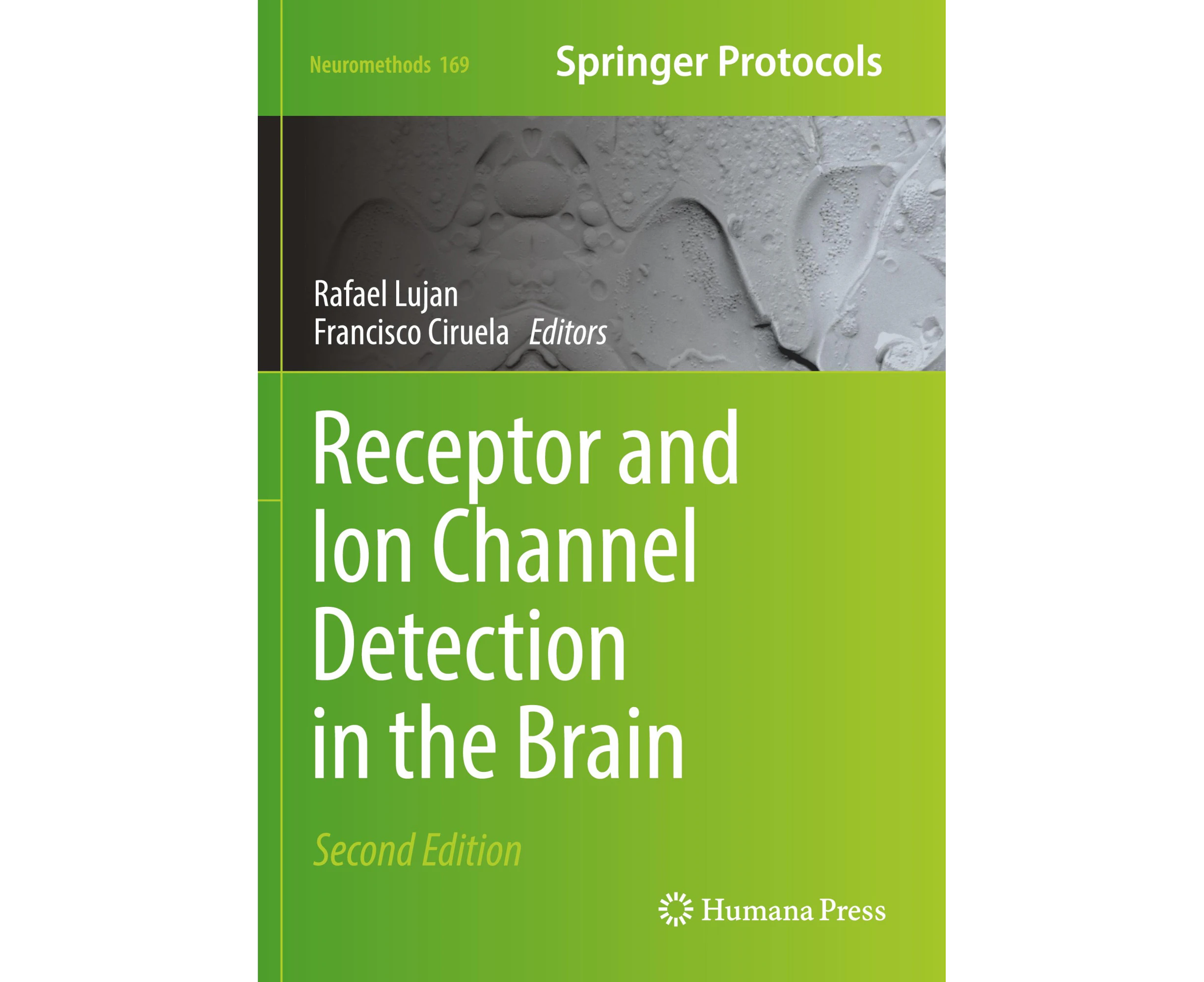 Receptor and Ion Channel Detection in the Brain