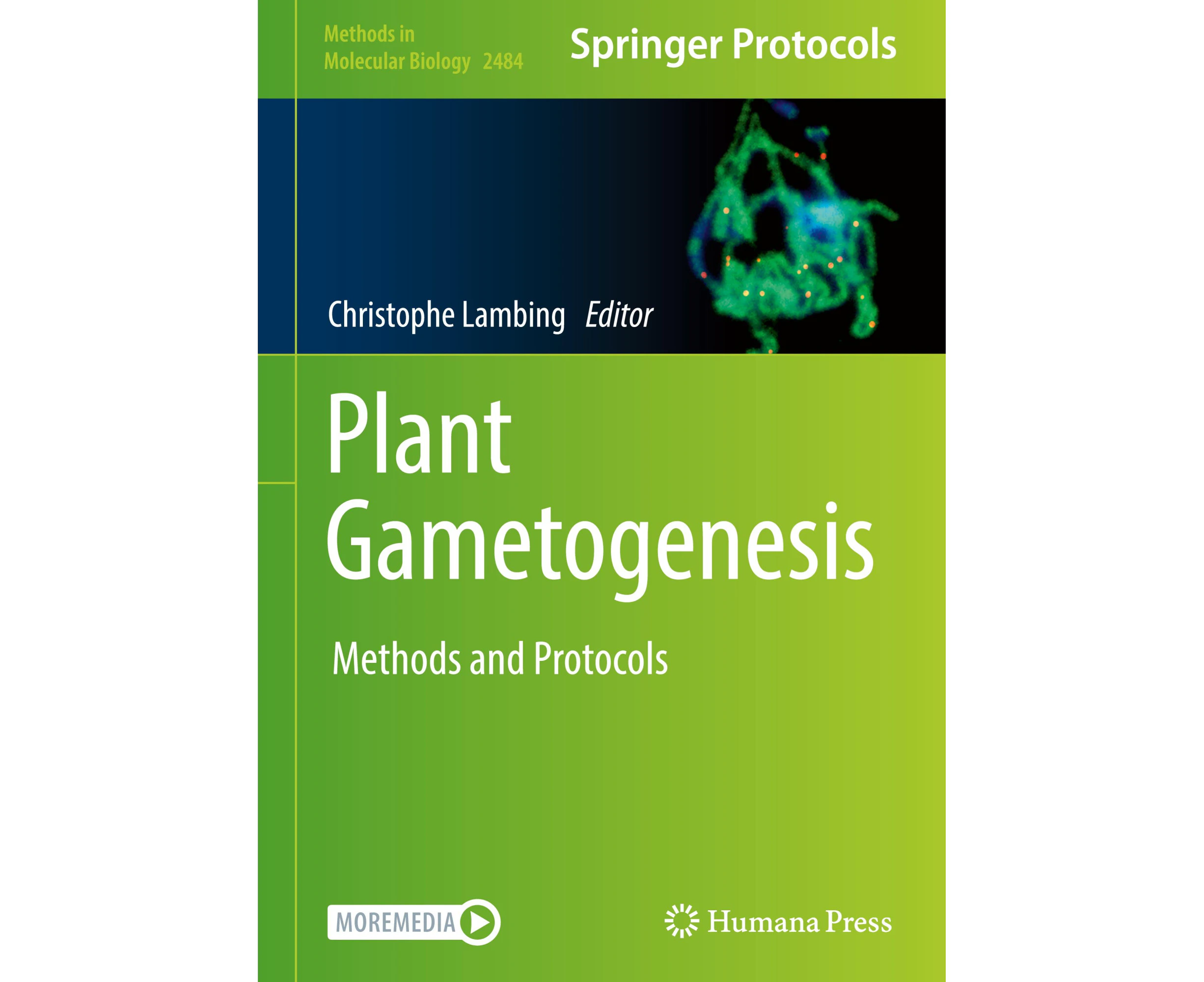 Plant Gametogenesis: Methods and Protocols (Methods in Molecular Biology)