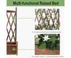 Wood Planter Garden Raised Box w/ High Trellis fr Vine Climbing Vegetable Growth