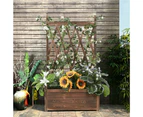 Wood Planter Garden Raised Box w/ High Trellis fr Vine Climbing Vegetable Growth