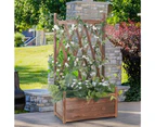 Wood Planter Garden Raised Box w/ High Trellis fr Vine Climbing Vegetable Growth