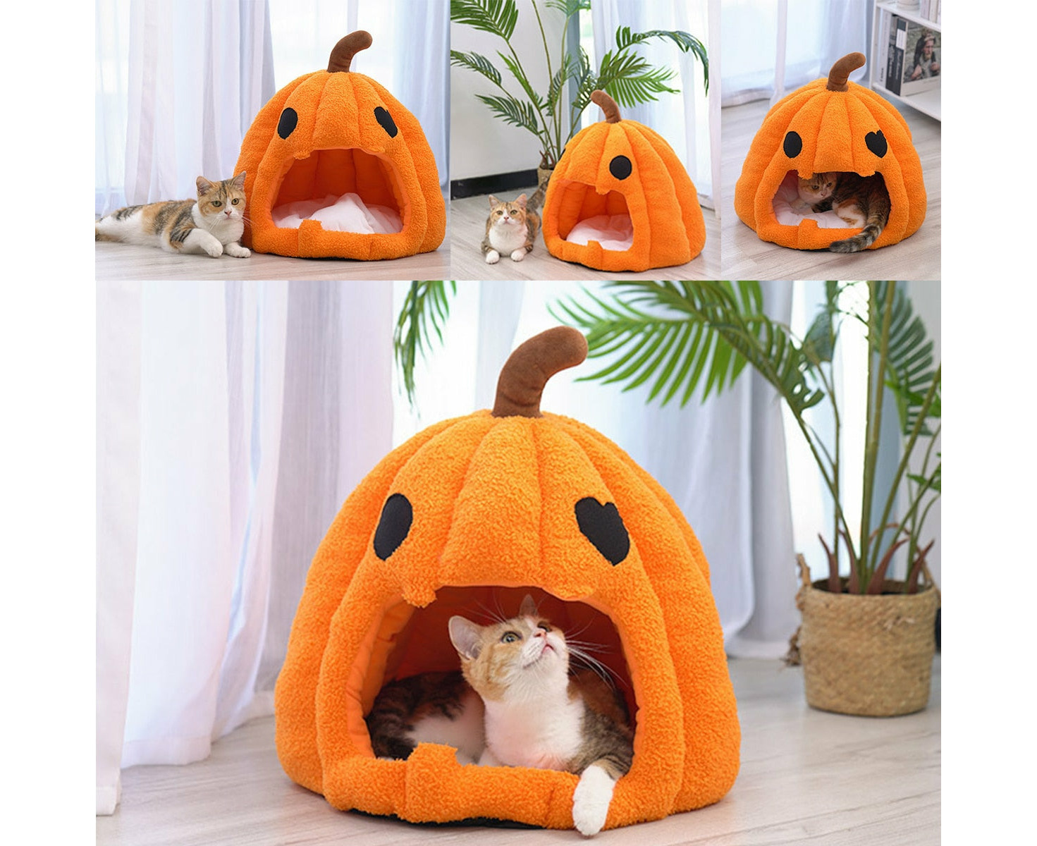 Pumpkin cat bed hotsell