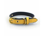 High End Gold Button Pet Collar - Blue