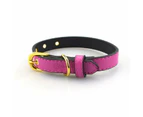 High End Gold Button Pet Collar - Blue