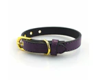 High End Gold Button Pet Collar - Blue