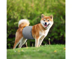 Washable Dog Diaper Water-resistant Puppy Nappy Belly Wrap for Male Dogs-Grey