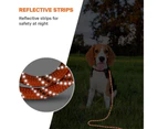 Dog Long Lead Training Tracking Line Comfortable Handle Heavy Duty Puppy Rope for Small Medium Large Dog 15m,Orange