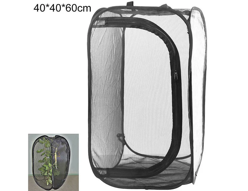 All Black Insect-proof Net Box Foldable Plant Insect Incubator