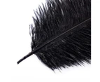 10PCS Natural Ostrich Feathers Wedding Feathers Clothing Accessories