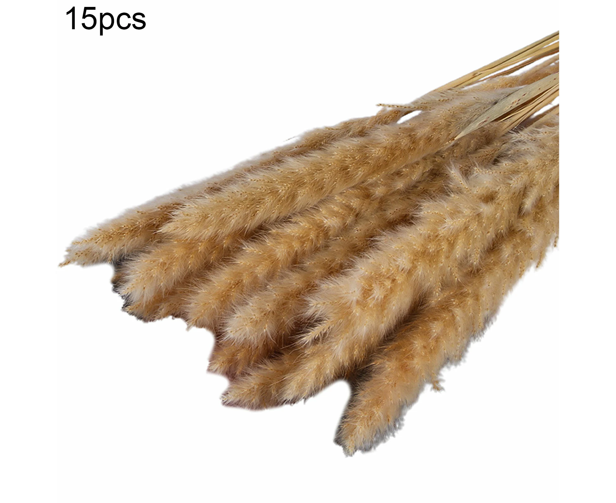 Sunshine 15Pcs/Bundle Small Pampas Grass Ornamental Desktop Decor Dried Flower Birthday Party Artificial Reed Bouquet for Garden-Coffee