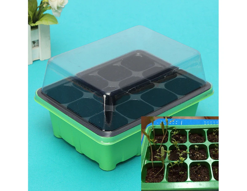 Seedling Box Transparent Lid Waterproof 12 Holes House Seed Starter Trays for Garden - Green + Black