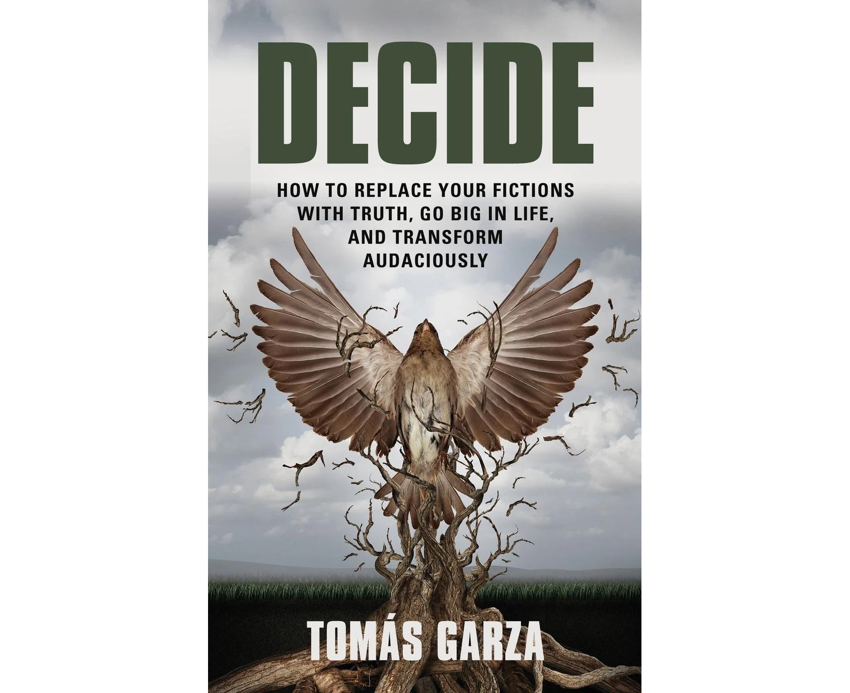 Decide: How to Replace Your Fictions with Truth, Go Big in Life, and Transform Audaciously