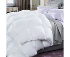 Renee Taylor 600 GSM Microluxe Down Alternate Quilt With Premium Microfiber Filling By Cloudlinen - White
