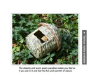 Reed Grass Bird Nest Hand Woven Bird Cage Cozy Resting Place for Birds