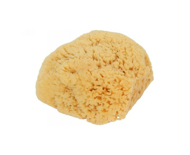 Bass Brushes Natural Sea Sponge Bath-Shower Large ,1 Count