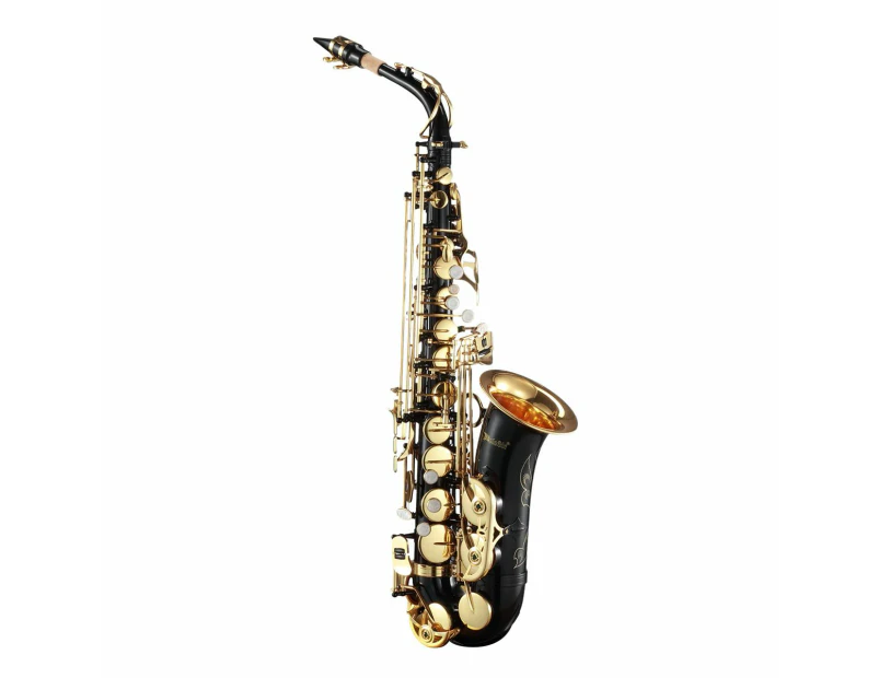 Melodic Eb Be E-flat Alto Saxophone Alto Sax for Beginner Student