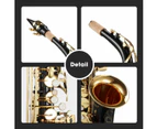 Melodic Eb Be E-flat Alto Saxophone Alto Sax for Beginner Student