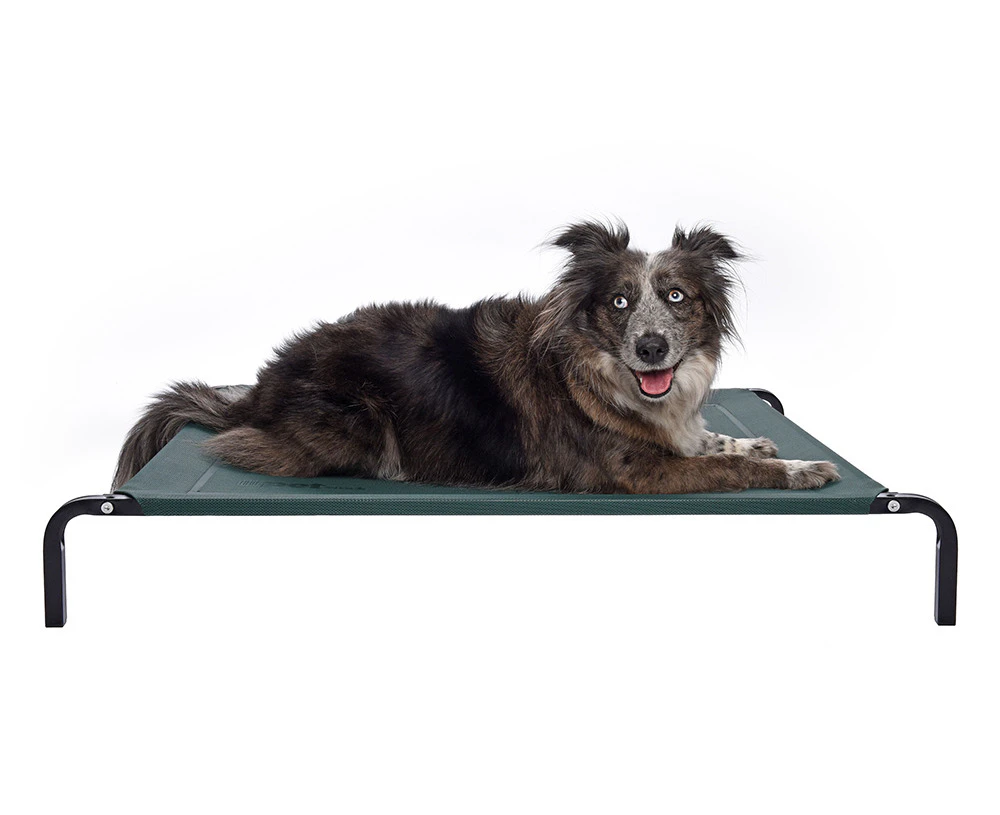 flea free Elevated Dog Bed - Black/Medium