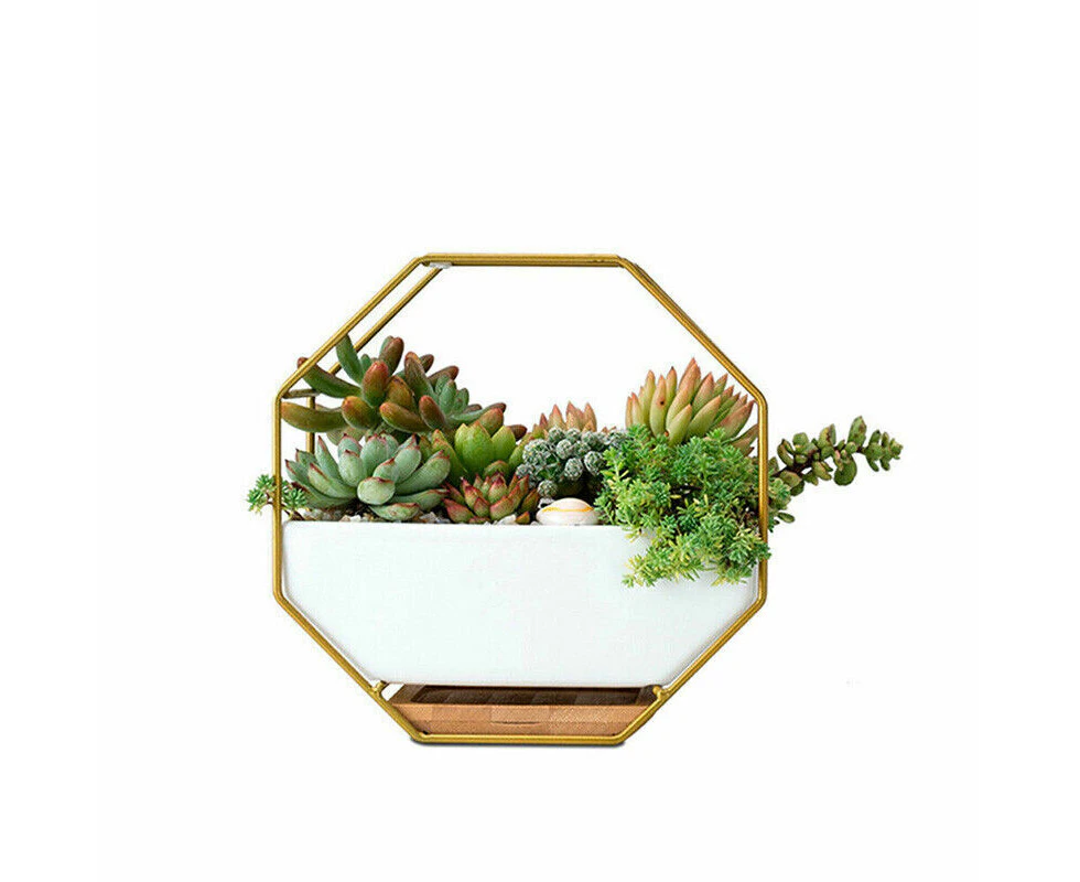 Flower Plant Pot Indoor Outdoor Garden Wall Hanging Succulent Planter Pot Vase Glod