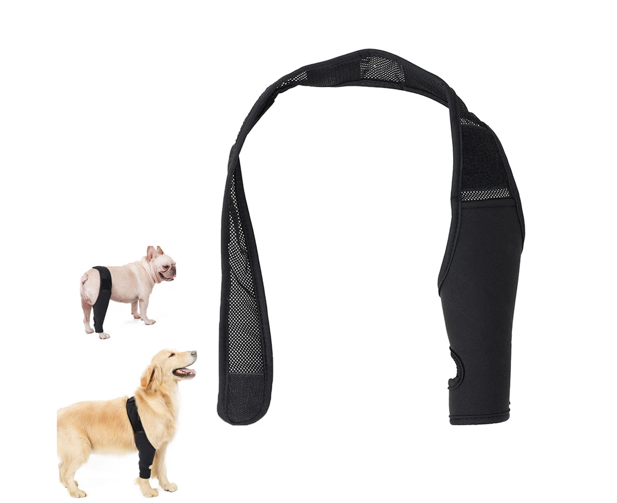 Pet Dog Knee Support Brace Leg Hock Front Back Protector Compression Wrap