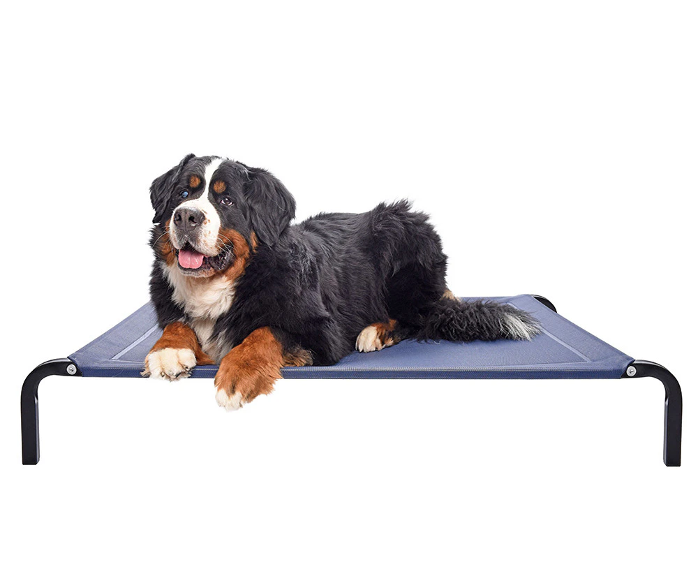 flea free Elevated Dog Bed - Black/Large