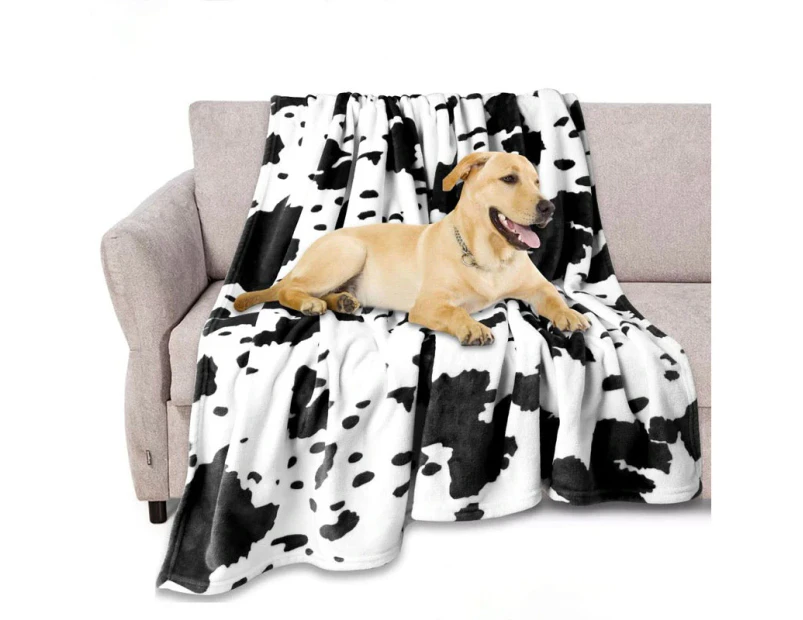 Hair Resistant Large Dog Soft Blanket - Black