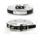 Leather Dog Collar, Padded, Comfortable, Strong for Pups, Small, Medium, Large, X- Large Dog Breeds White XXS