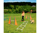 Dog Agility Training Equipment 5 Set Pet Obstacle Course Sports Exercise Kit Ladder Weave Poles Jump Bar Hurdle Ring Hoop Carry Bag