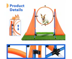 Dog Agility Training Equipment 5 Set Pet Obstacle Course Sports Exercise Kit Ladder Weave Poles Jump Bar Hurdle Ring Hoop Carry Bag